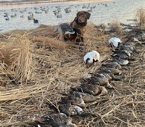 missouri hunting lease craigslist|duck hunting leases in missouri.